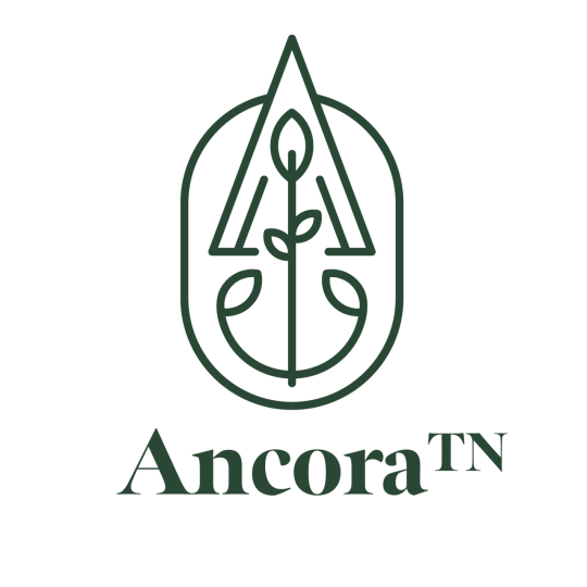 A green logo featuring a stylized leaf and tree inside an oval shape above the text Ancora™ in a serif font on a white background.